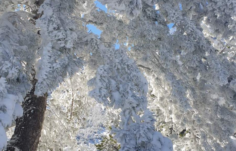Malyovitsa hut