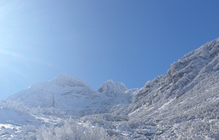 Malyovitsa hut