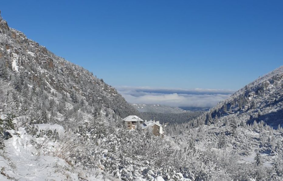 Malyovitsa hut