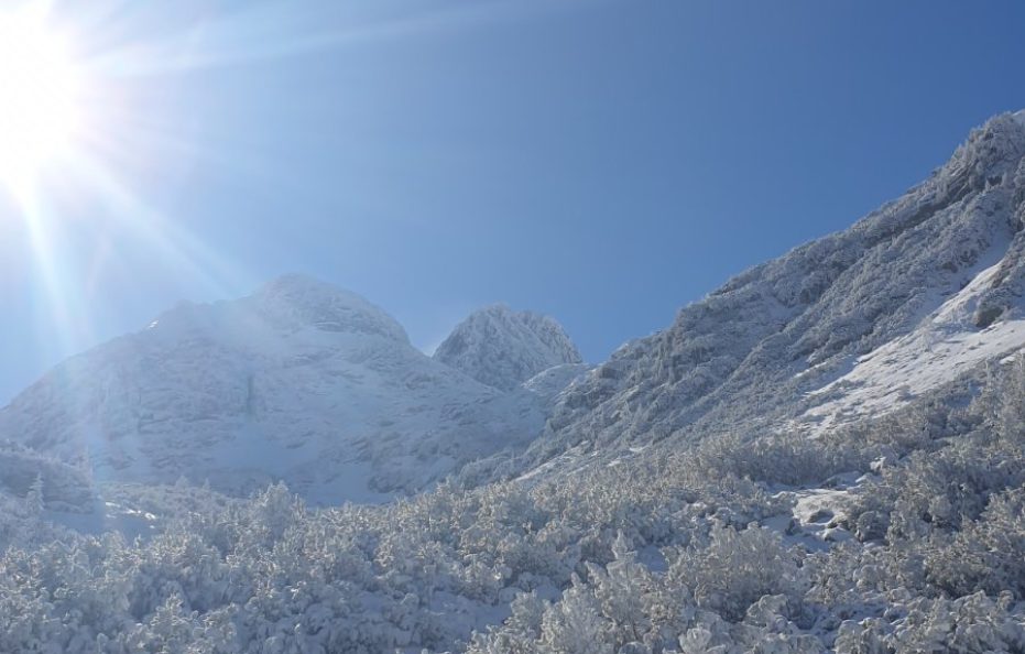 Malyovitsa hut