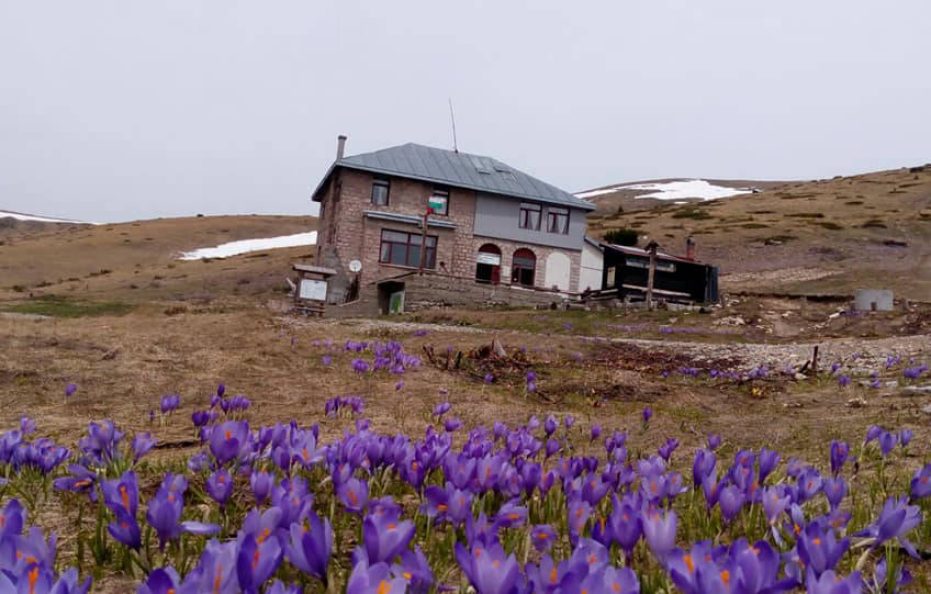Macedonia hut