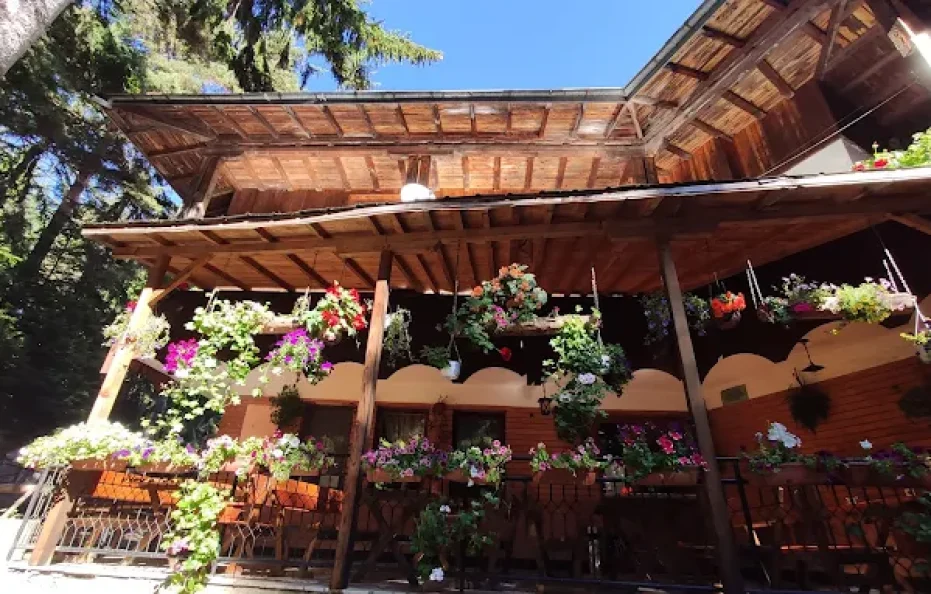 Gurgulica hut