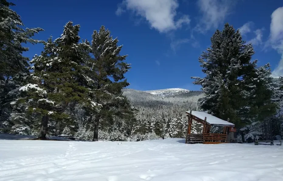Semkovo hut