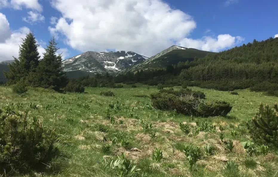 Chakyr Voivoda Hut