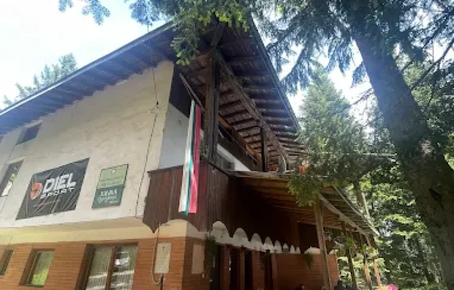 Gurgulica hut