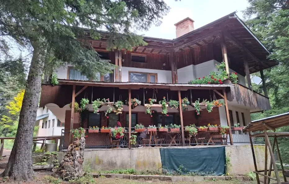Gurgulica hut