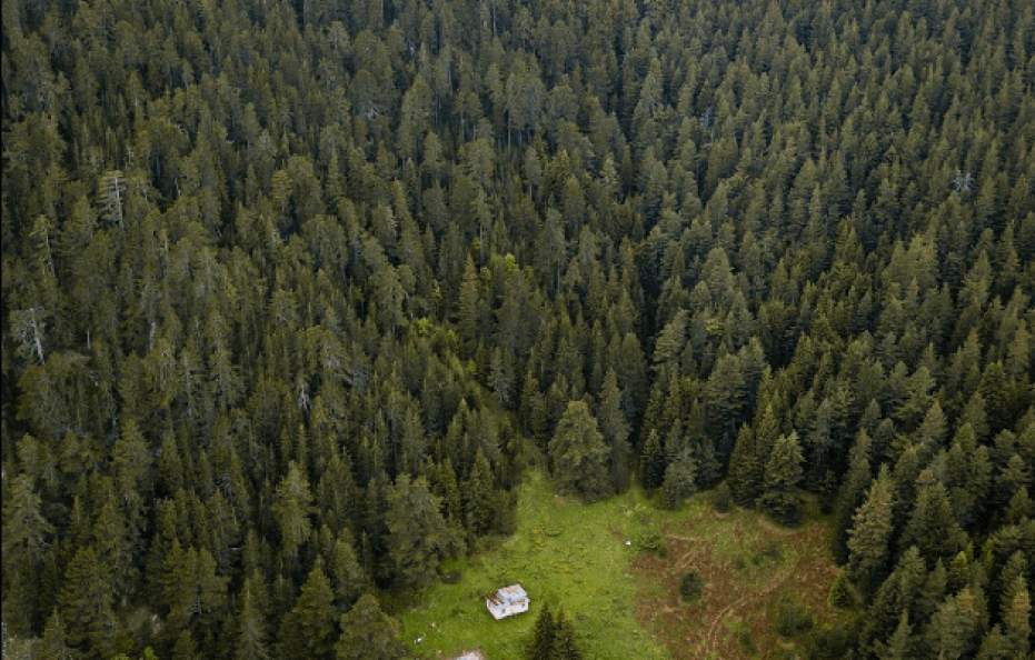 Yavorov hut