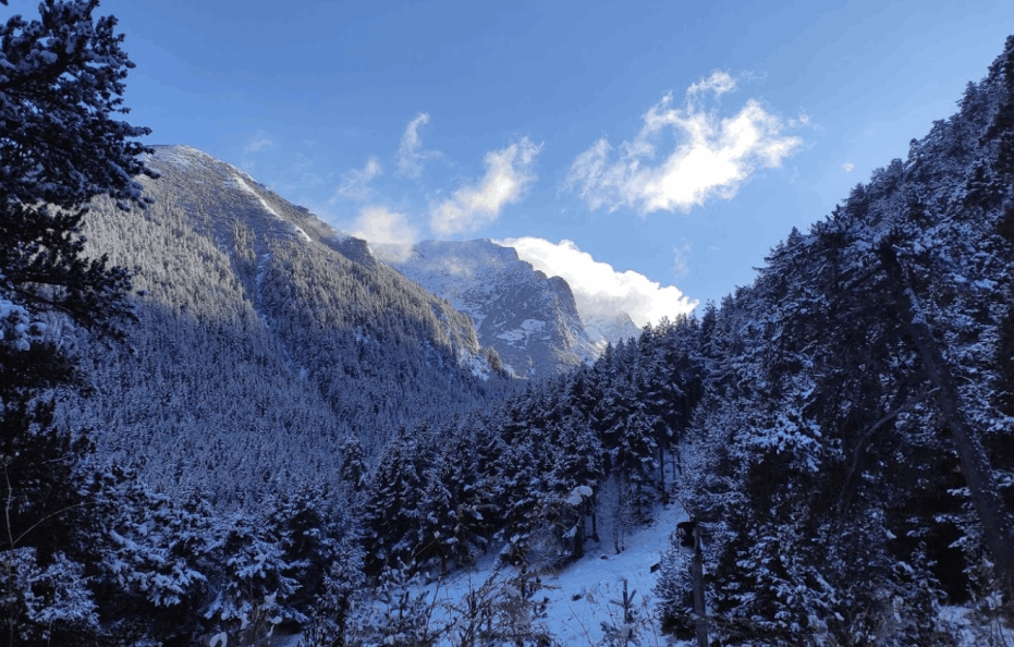 Yavorov hut
