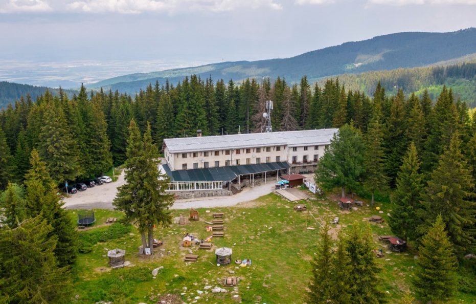 Zvezdica hut