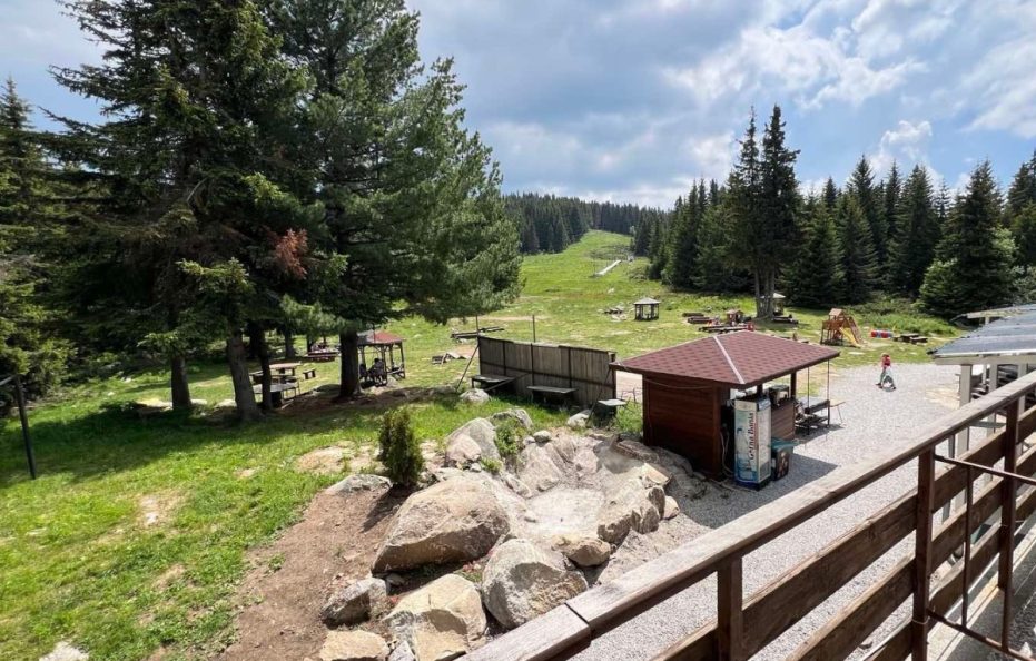 Zvezdica hut