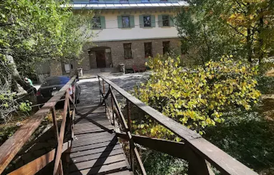 Belite brezi hut