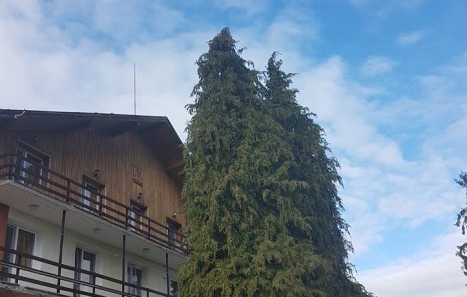 Akademik hut (rodopski partizani)