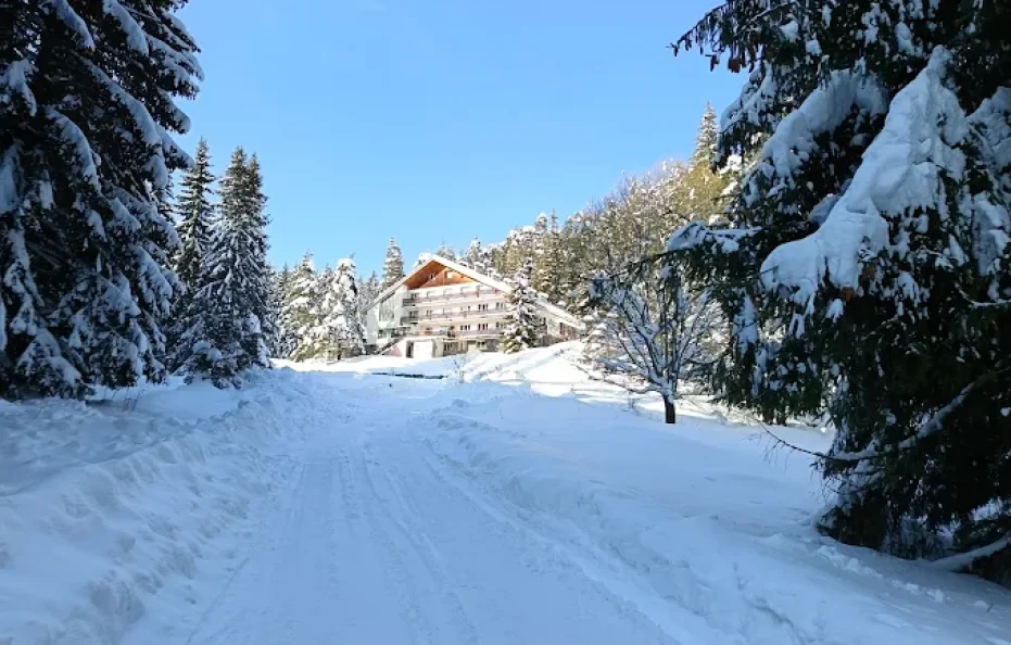 Skalnite mostove hut