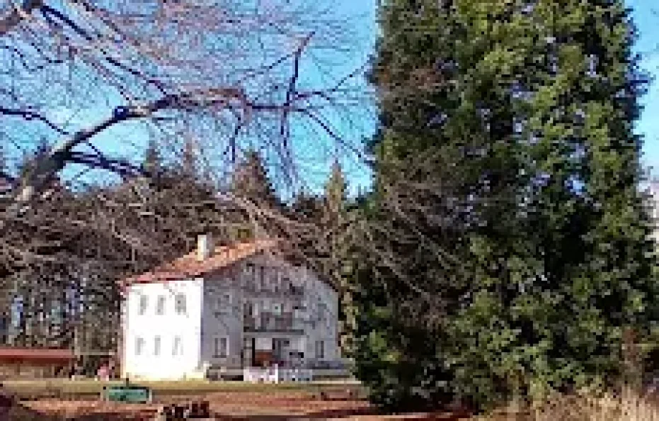 Trustenaya hut