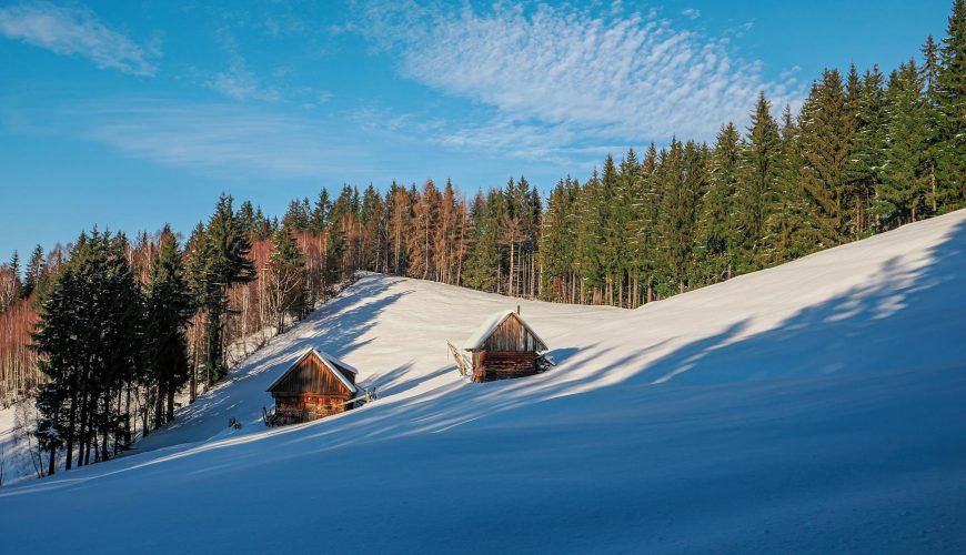 scenic winter landscape in carpathian mountains